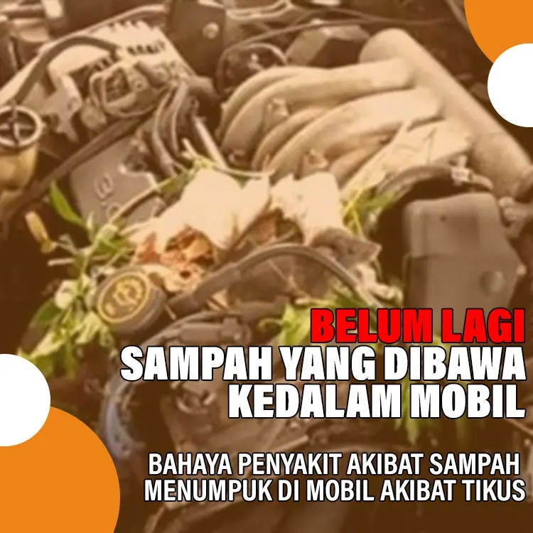 Ratikill Pengusir Tikus Untuk Rumah, Gedung & Mobil Ramah Lingkungan Aman Untuk Hewan Peliharaan Tanpa Bahan Berbahaya 3