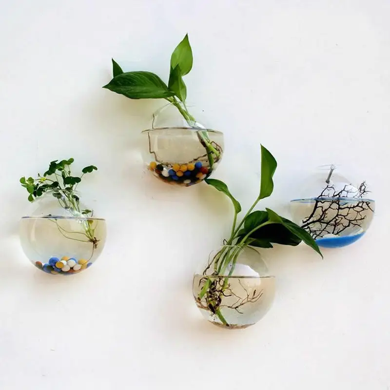 Bình Treo Tường Bằng Thủy Tinh, Thiết Kế Sáng Tạo, Thích Hợp Cho Cây Thủy Canh, Tăng Cường Trang Trí Nhà Cửa, Hoàn Hảo Cho Bể Cá, Y7S6 3