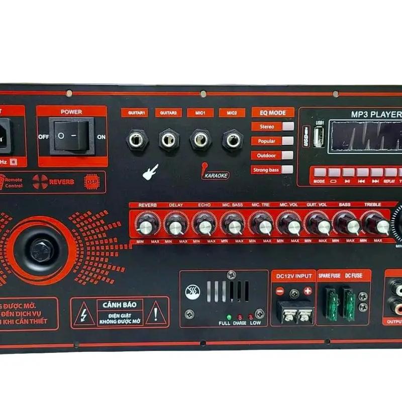  Mạch Loa Kéo DSP300 - Reverb DSP Chống Hú Thế Hệ Mới Nhất phù hợp ráp loa 4 tấc đôi 5 tấc dôi. Kích thước 19x38cm 