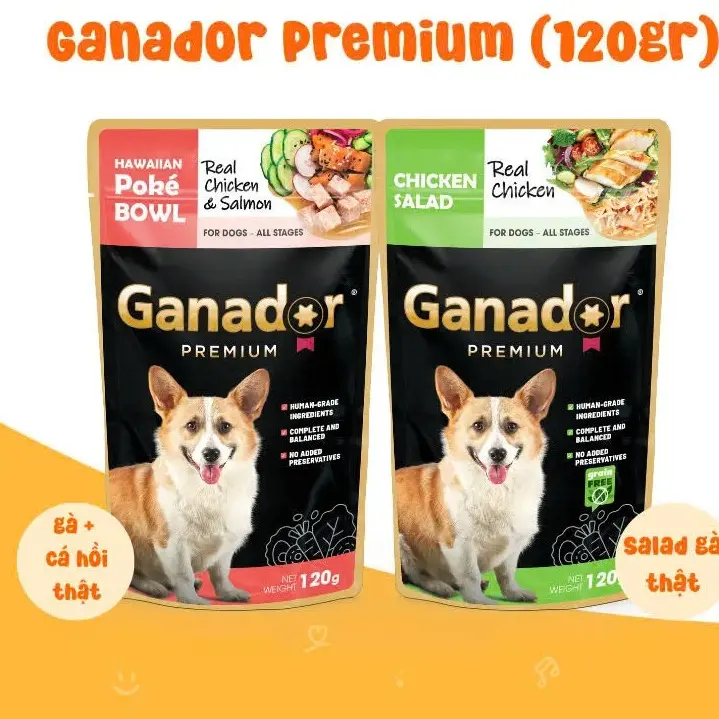 Pate GANADOR Cho Chó Mọi Lứa Tuổi - 120g
