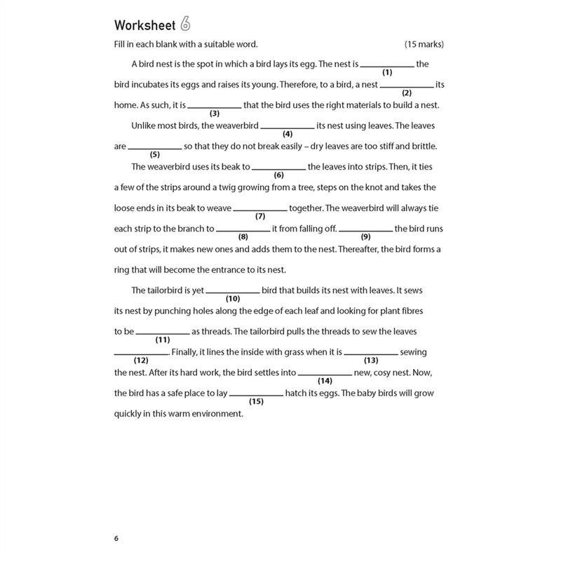 Product Introduction of High Quality 100 English Worksheets Primary 5  Comprehension Cloze | Latest MOE Syllabus Assessment Books 11