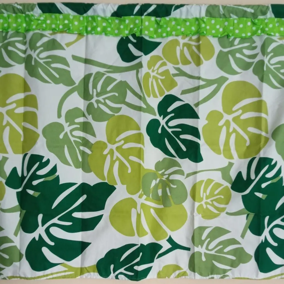 Monstera hijau putih