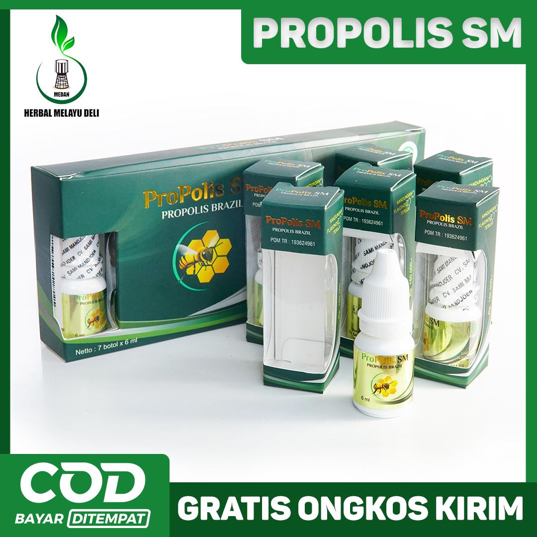 Propolis SM Brazil - 100% Propolis Brazil Murni Berkhasiat Untuk Kesehatan - Legalitas Resmi BPOM RI & Halal MUI