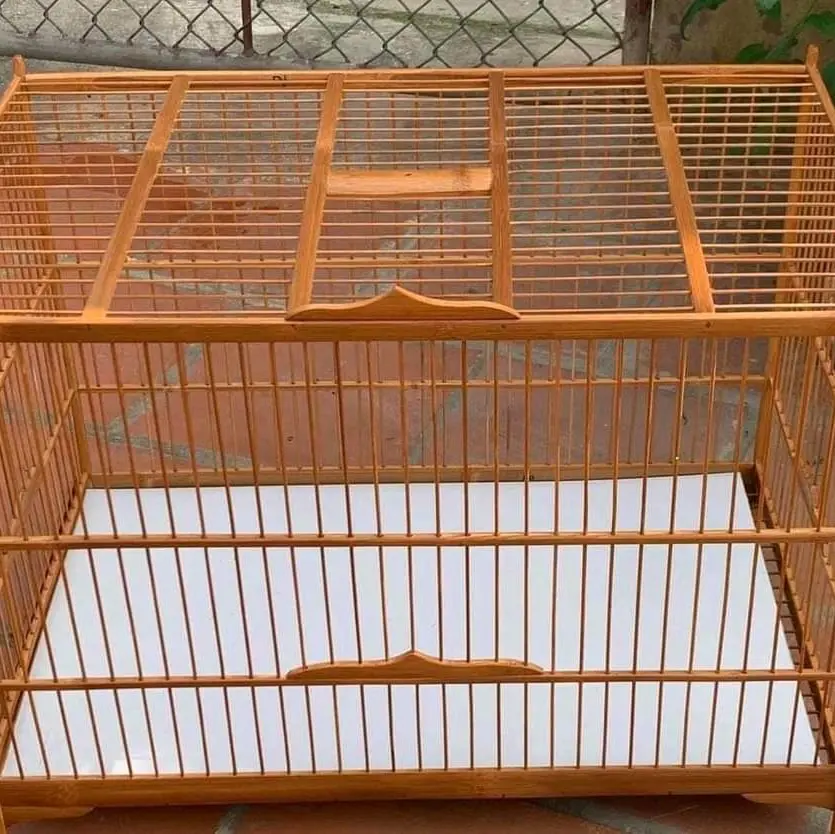 khung lực tre 60 kèm ao ráp sẵn 4 mặt cho Chào mào mi khướu