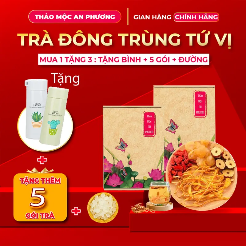 [MUA 1 TẶNG 3] Mua Hộp 30 Gói Trà Đông Trùng Tú Vị Tặng Thêm 1 Bình Giữ Nhiệt, Tặng Kèm Thêm 5 Gói Lẻ, Tặng 1 Gói Đường 0