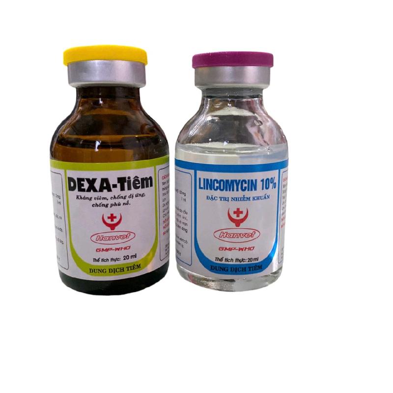 Bộ đôi Lincomycin và dexa - Tiêu kén, sưng củ bàn, kén lườn, kén đầu, sưng gối cho gà chai 20ml 3