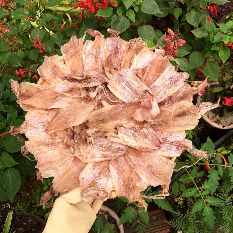 Mực khô câu Quảng Ninh (loại 80-90 và loại 110 - 120 con 1kg)