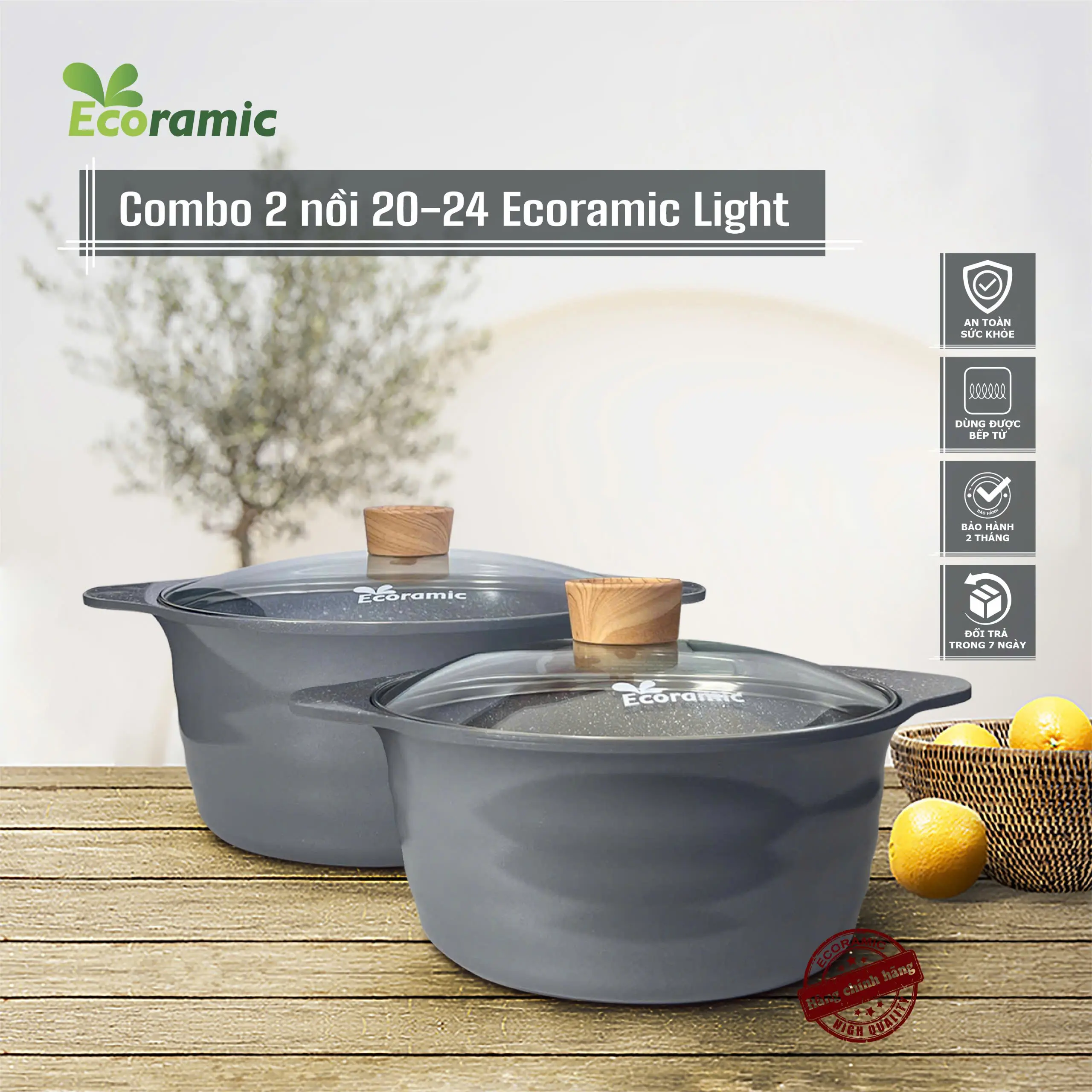 Combo Nồi Đúc Vân Đá Đáy Từ Ecoramic Light - Size 20&24 - Chống Dính Cao Cấp