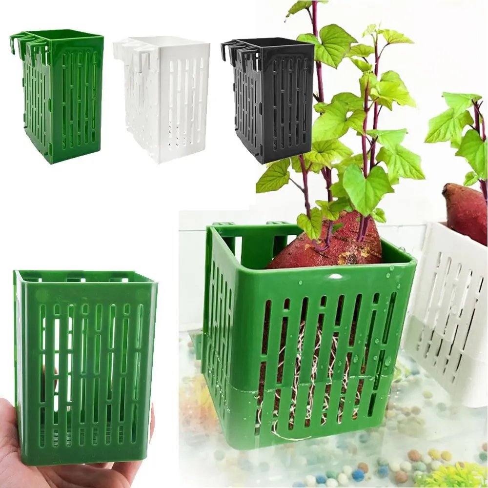 New Water Plant Landscape Fish Tank Hydroponic Planting Basket Glass Pot Hydroponic Hanging Aquarium Plant Holder with Hooks Landscaping Basin Fish Tank Plant Cup for Fish Tank