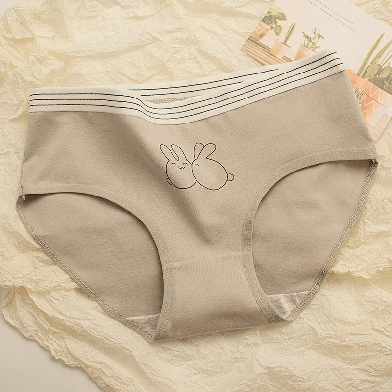 Combo 10 quần lót cotton nữ cao cấp in hình thỏ dễ thương (HM13) - Women Voi 2