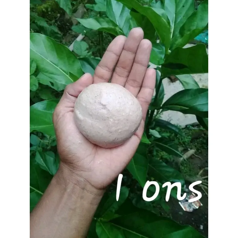 pulut anti leleh anti lalat isi 25gram 1