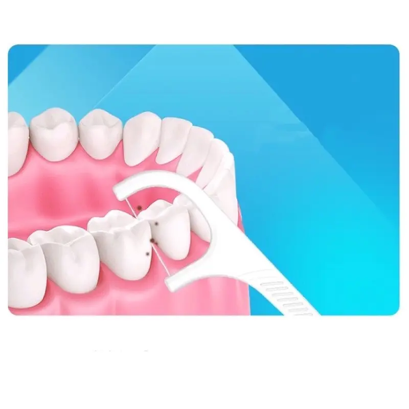 Benang Tusuk Gigi Pembersih Sela Gigi Steril 50 PCS Benang Busur Tusuk Gigi Macromole MKS N02cul Carea Benang Tusuk Gigi Macromolecul carea Dental flosser Toothpick SH S11 2