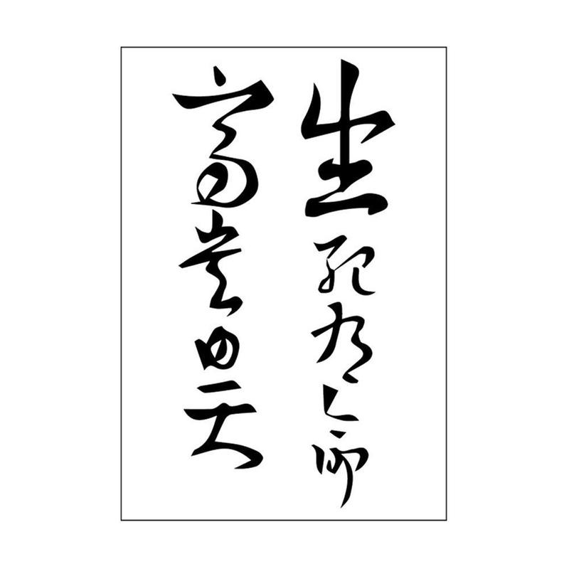 Product Introduction of Empowering Chinese Phrases Temporary Tattoo Stickers 12 Weeks Longevity E2J0 34