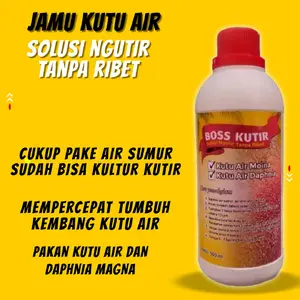 BOSS KUTIR JAMU KUTIR PAKAN KUTU AIR DAPHNIA MAGNA