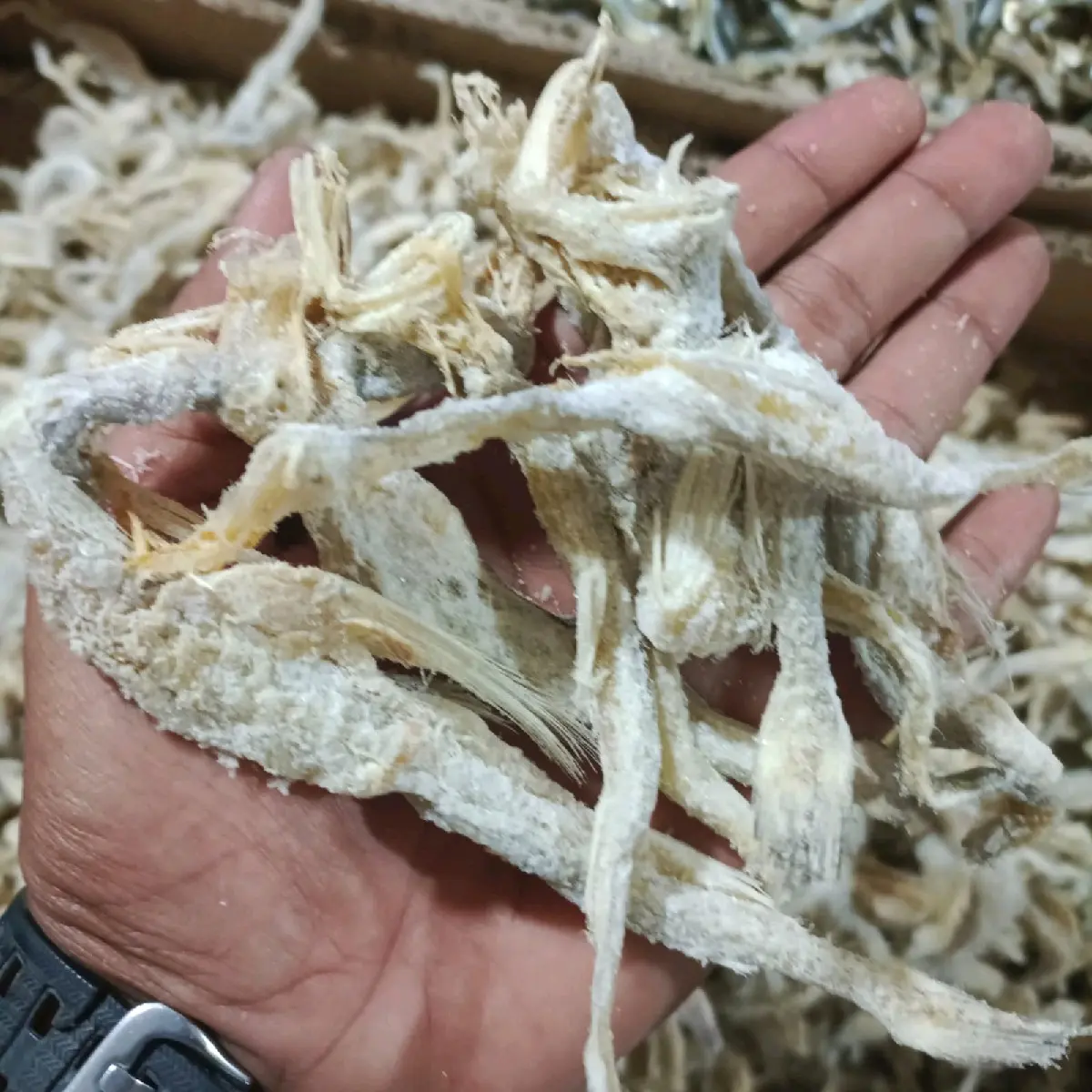 SITENG/JAMRONG SUPER KERING Asin