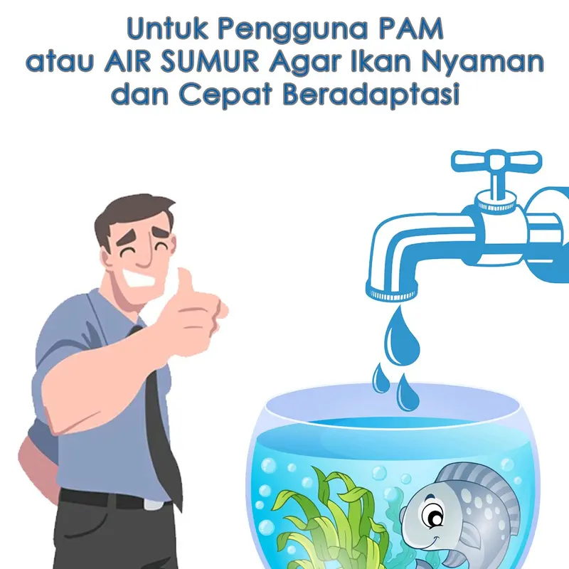 SCF Fish Solution Khusus Ikan 2