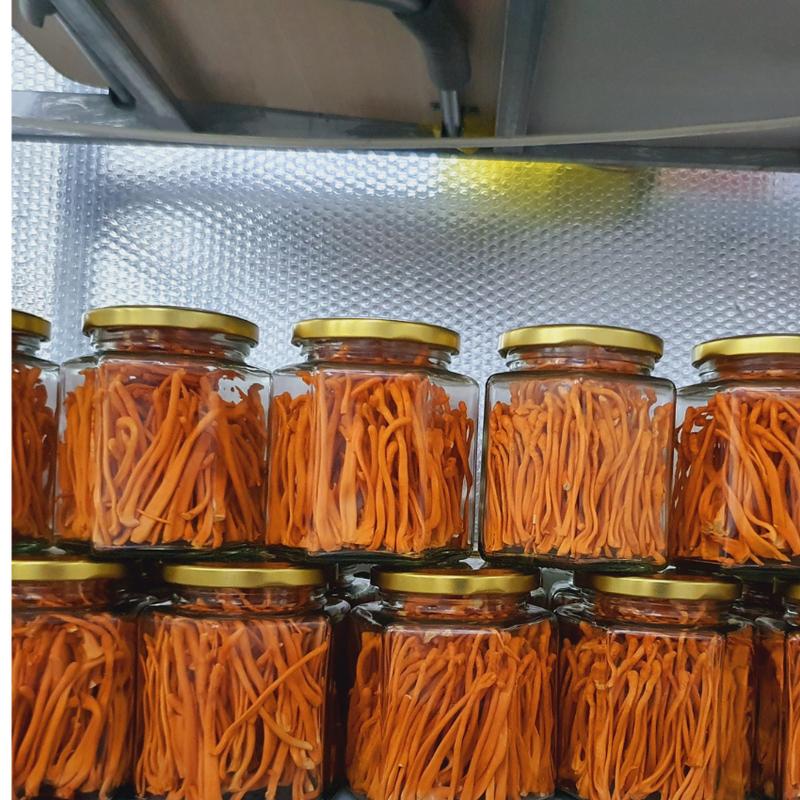 Đông Trùng Hạ Thảo Khô Sấy Thăng Hoa 12 gram 2