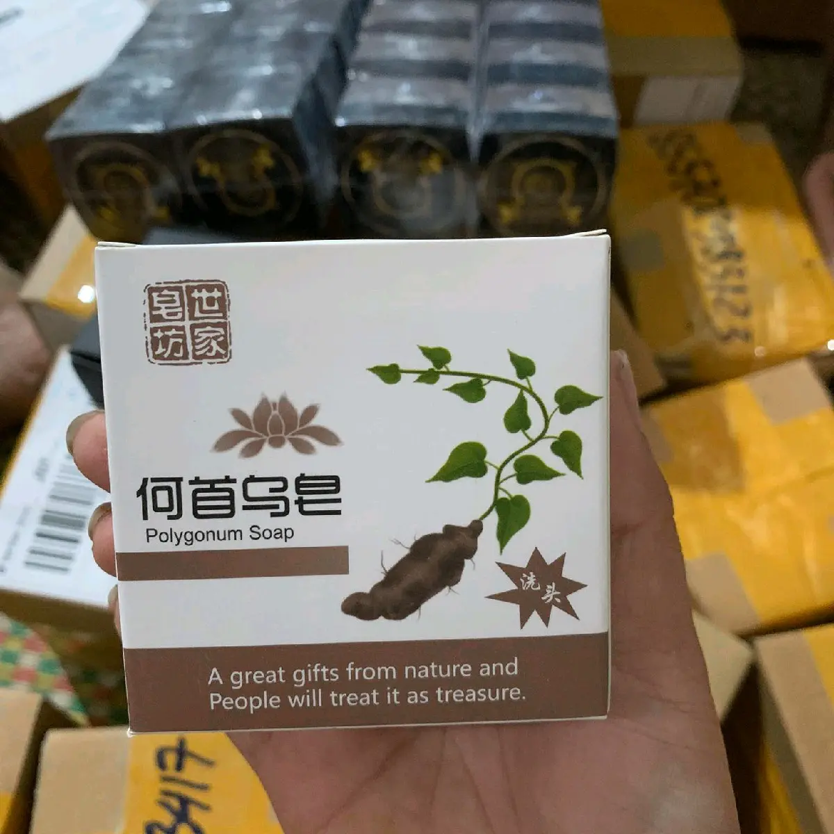 xà bong gọi đầu