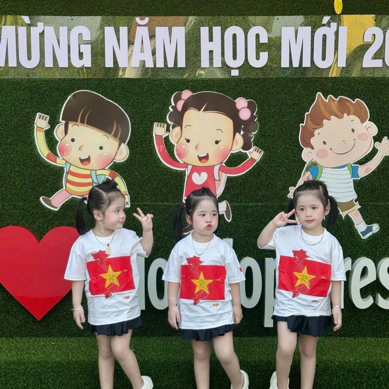 Áo thun  Việt Nam cờ đỏ sao vàng  ngực 8-85kg , áo phông gia đình , kid_genz 7