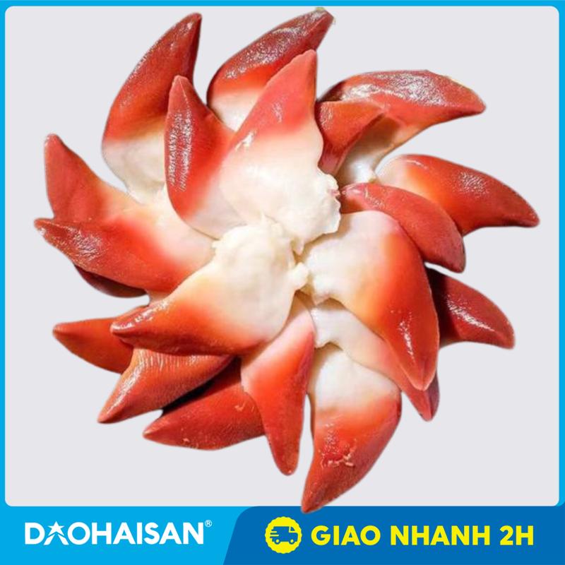[HCM - Giao 2H] Sò Đỏ Canada Khay 20 Miếng Đông Lạnh Chuẩn Sashimi - ĐẢO HẢI SẢN 0