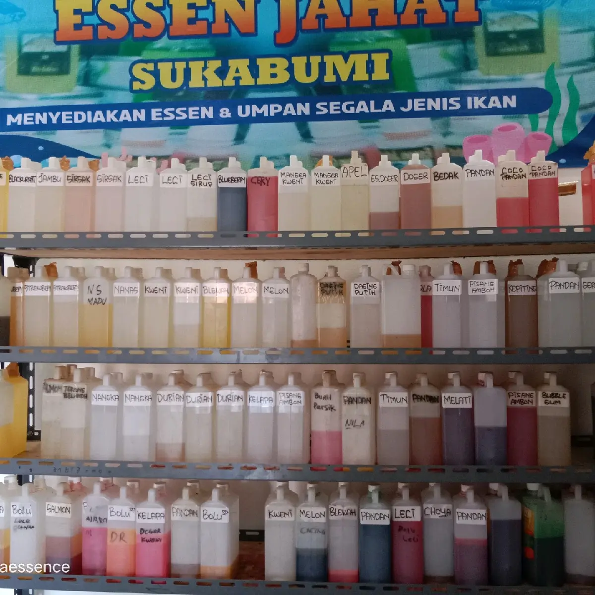 rekues aroma essen jahat