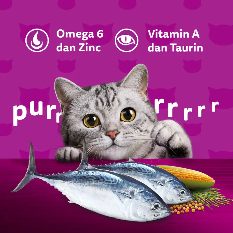 Whiskas Makanan Kucing Kering 1.2 kg - Isi 2 whiskas 4