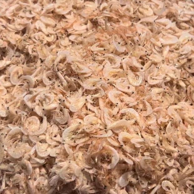 UDANG REBON KECEPE MEDAN SUPER PREMIUM Food Frozen 1