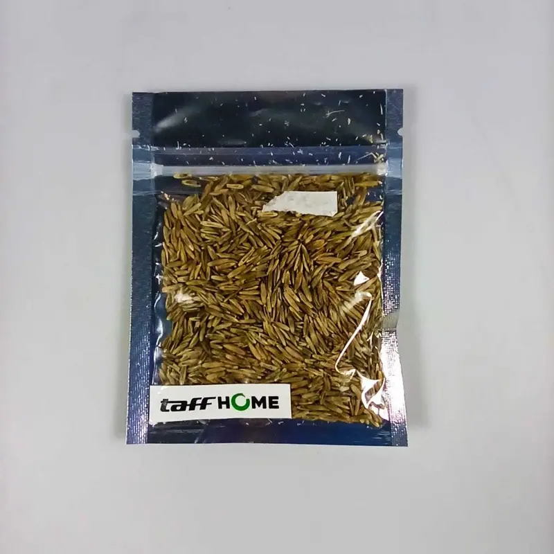 AShop Bibit Rumput Air Dekorasi Aquarium Landscape Ornament 10g 7