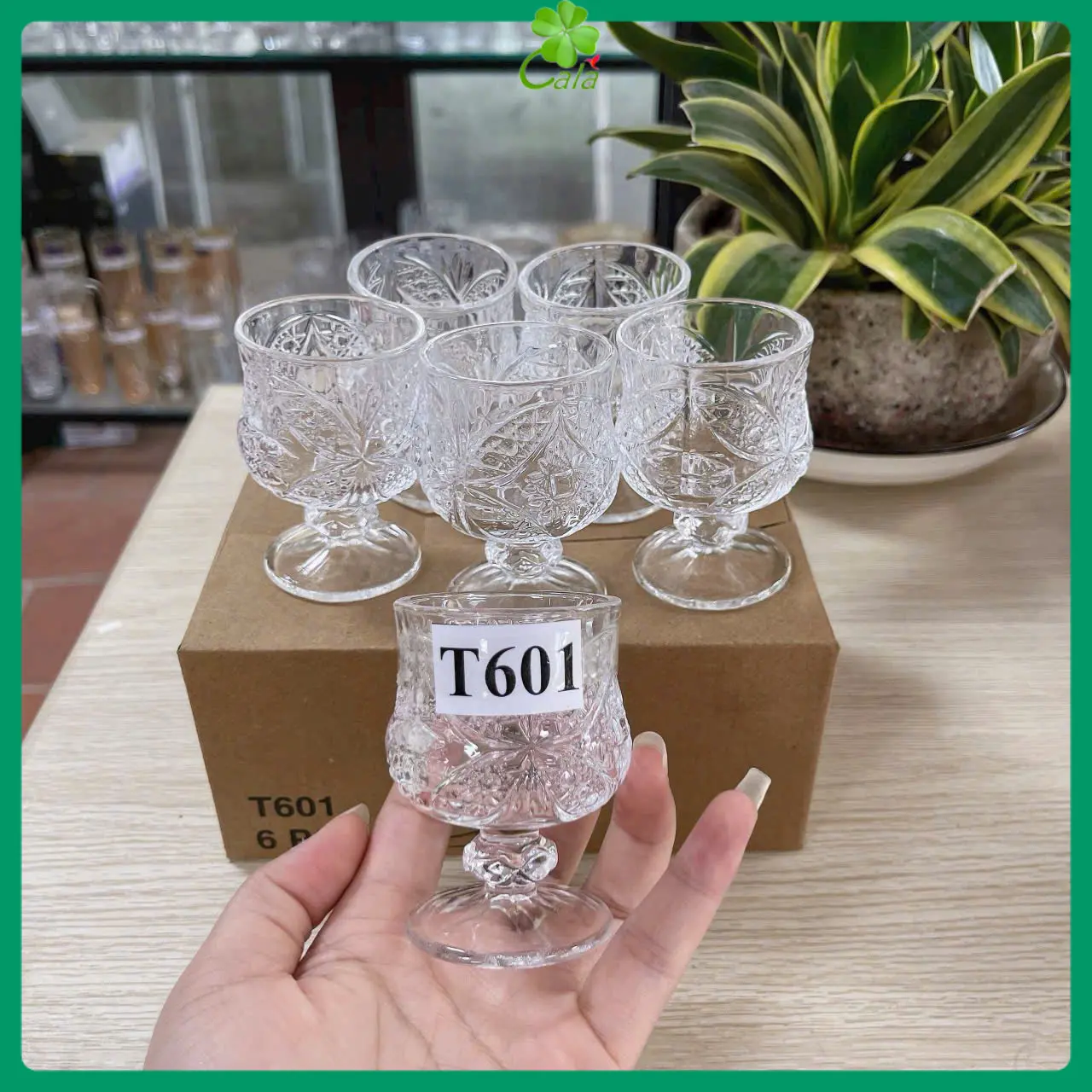 Bộ 6 ly thủy tinh uống rượu phong cách Châu Âu, ly rượu có chân, ly sot