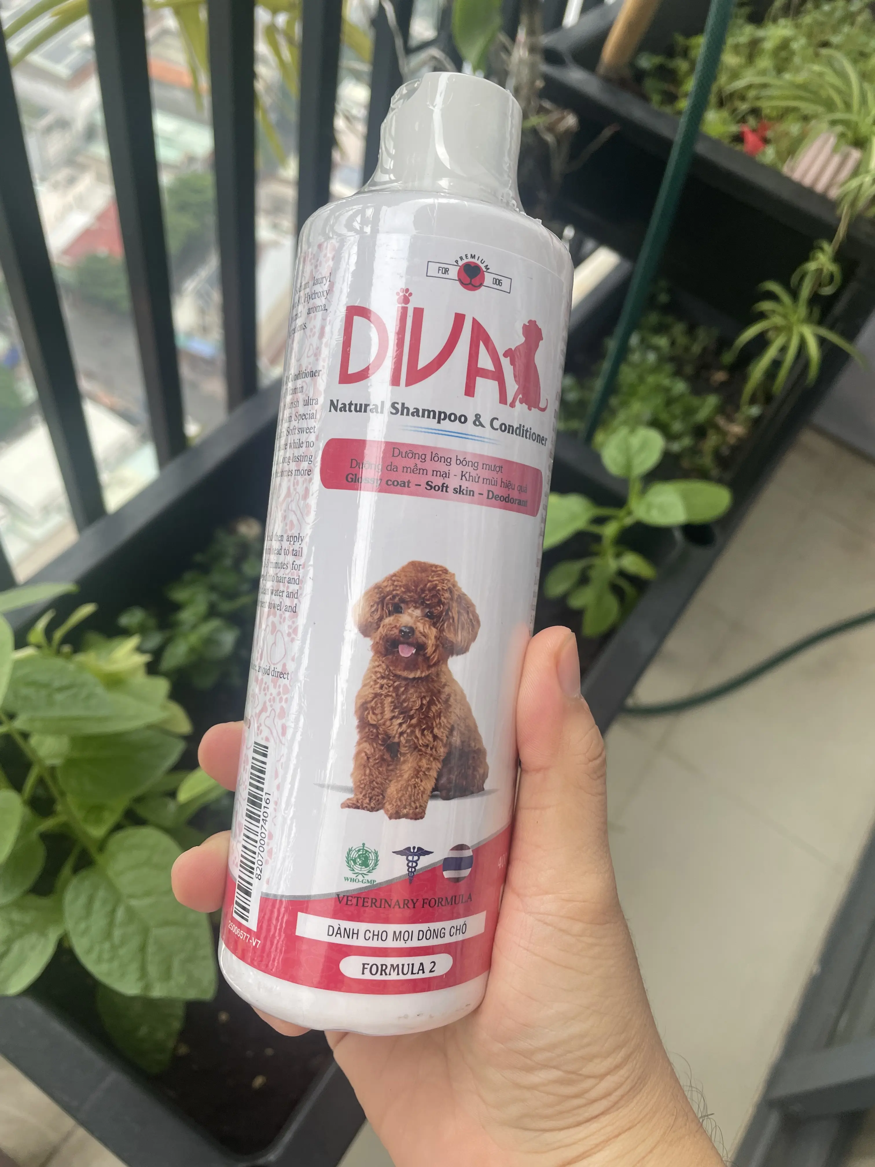 Sữa tắm DIVA Formula 2 – chai 400ml - 260ml