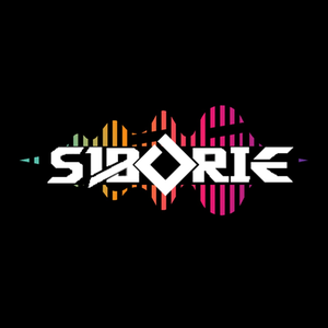 SIBORIE-Soundcard & Mic thu âm