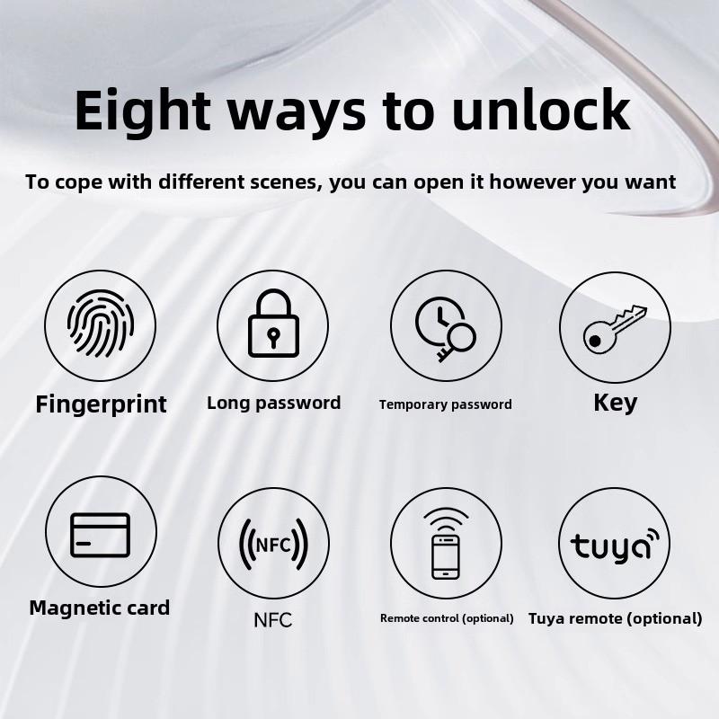 Khóa Vân Tay Thông Minh Thích Hợp Cho Phòng Ngủ Và Văn Phòng, Hỗ Trợ Tuya Smart, Khóa Cửa Cao Cấp 3