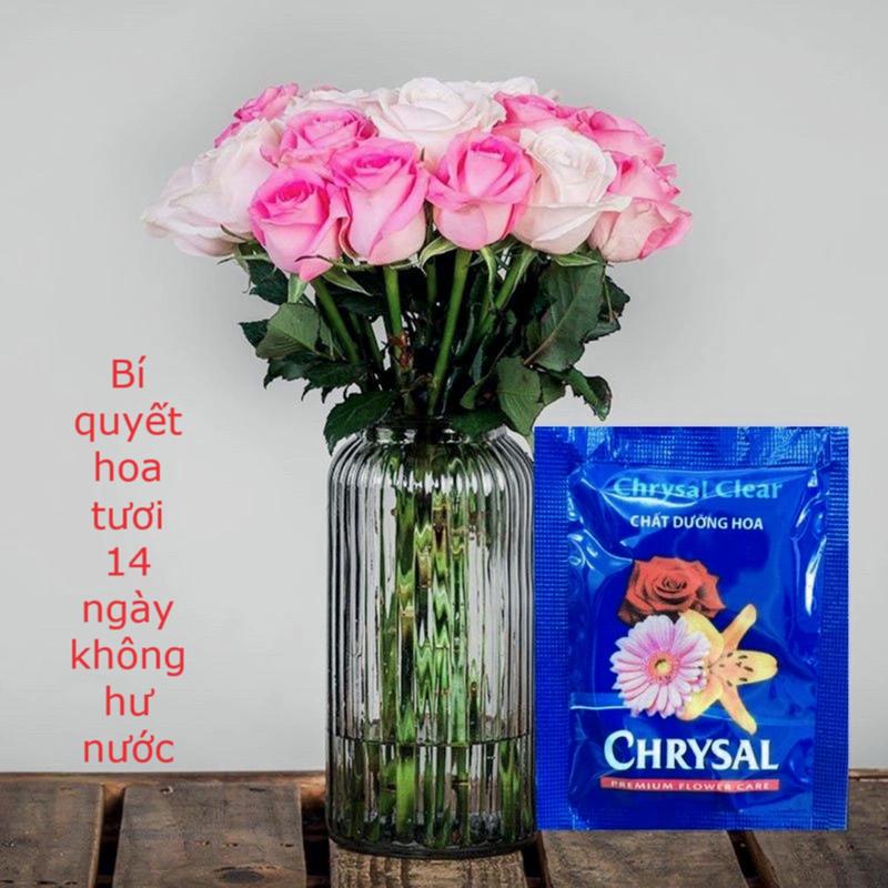  50 Gói chất dưỡng hoa tươi Chrysal Clear giúp hoa lâu tàn không hôi nước chính hãnġ nhập khẩu Hà Lan 