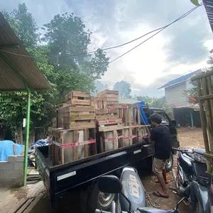 Packing kayu aman dan storofom