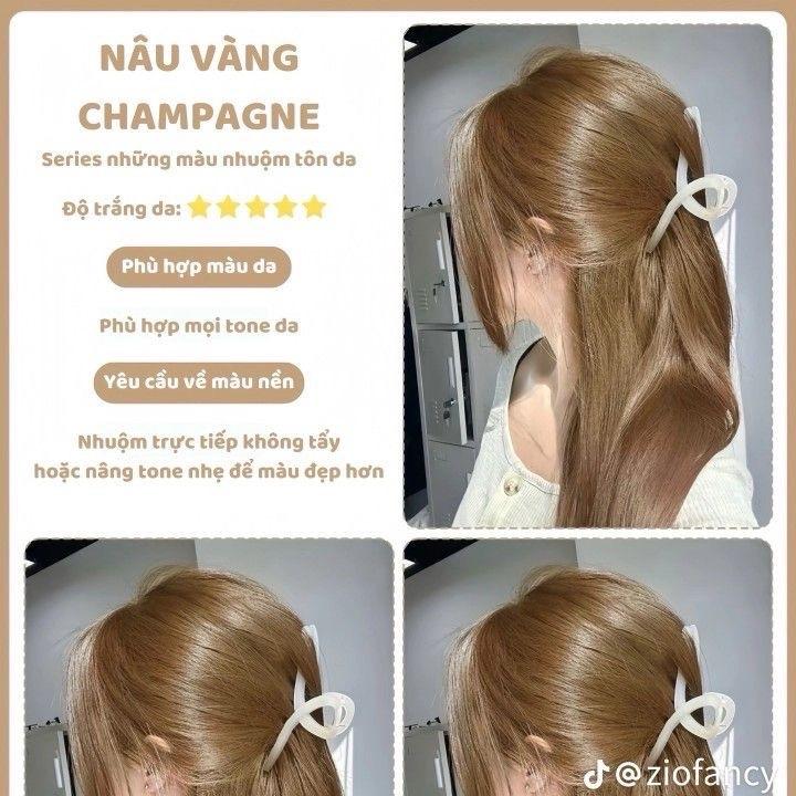 Thuốc Nhuộm Tóc Nâu Vàng Khói Cho Nữ - Đổi Màu Tóc