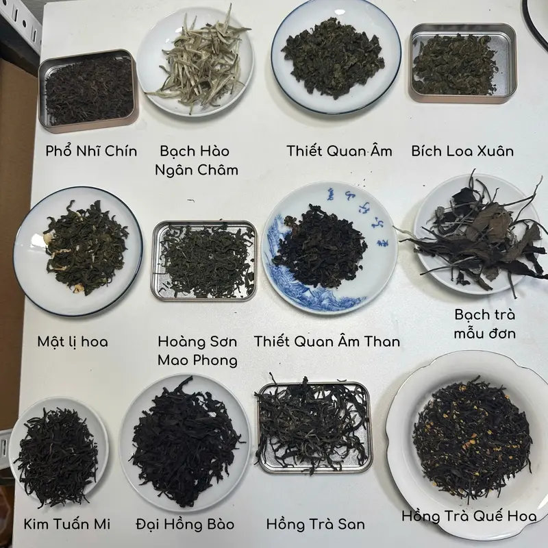 Combo Trà 12 Loại Nổi Tiếng Trung Hoa - Thưởng Trọn Hương Vị Từ Núi Non 2