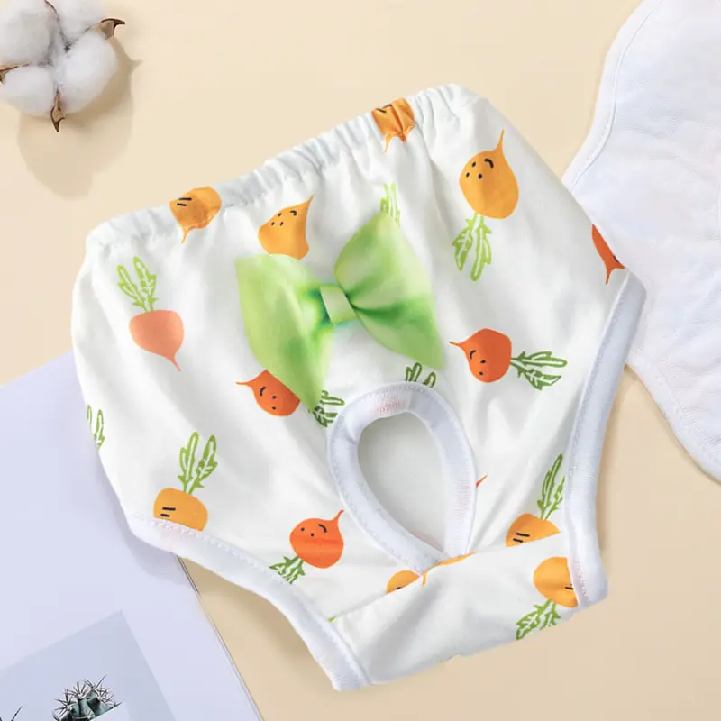 Quần Kinh Nguyệt Cho Thú Cưng, Tã Thấm Hút Thoải Mái Cho Chó, Ngăn Ngừa Lộn Xộn, Nơ Thoáng Khí, Quần Áo Cho Chó, Quần Co Giãn 1