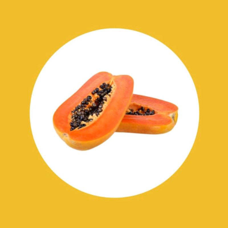 BIJI BENIH PEPAYA CALIFORNIA MANDIRI AGRO SEEDS 1