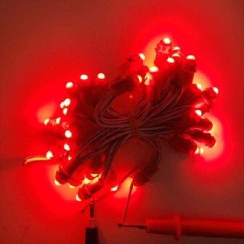 Led đúc F5 12V ngoài trời trang trí quấn cây đủ màu 2