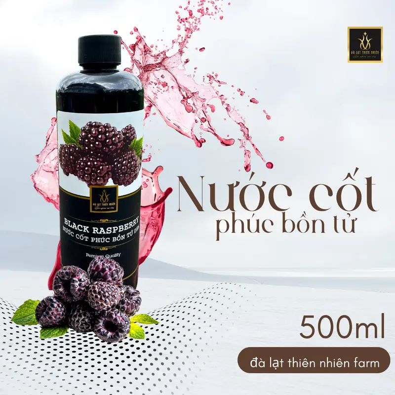 [500ml ] CHAI NƯỚC CỐT TRÁI CÂY VỊ TÙY CHỌN  - Chiết xuất từ trái dâu tây, dâu tằm, chanh dây, phúc bồn tử, dạng siro pha chế nước uống 0