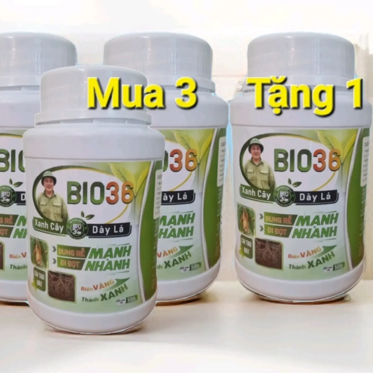 Phân bón BIO 36. Combo mus 3 Tặng 1,HỘP 500Gr  kích rễ mạnh, tốt cây , xanh lá, dày lá, nở gốc, phục hồi cây nhanh, cải tạo đất tơi xốp. fertilisers phân  bón