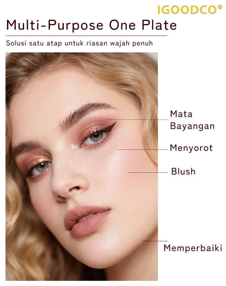 IGOODCO (Model:IG3226) new makeup pearl matte powder blusher face makeup sequin color stage eyeshadow book