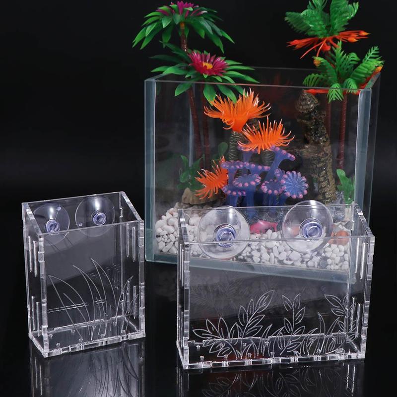 Product Introduction of Creative Wall Hanging Aquarium Plants Cup Transparent Floating Aquatic Planter Holder With suction cups Fish Tank Planting Cup Emersed Plants 8