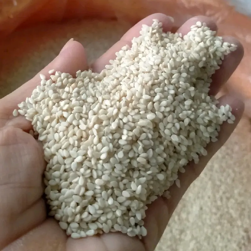 1kg Vừng Trắng (Mè Trắng) Điện Biên Hút Chân Không 500g/túi (Đã tách vỏ) 2