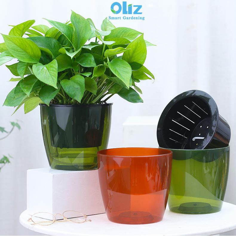 Chậu trồng cây tự tưới Oliz H006X. Chậu cây nhựa để bàn trong suốt quan được sát mực nước bên trong