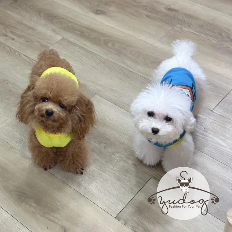 Áo mặc cho chó Yudog áo thun hoạt hình dễ thương cho thú cưng chó mèo 5