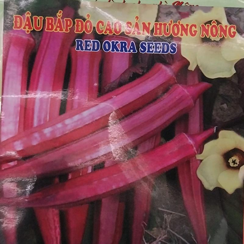 Com bô 3 gói hạt giống đậu bắp đỏ 1