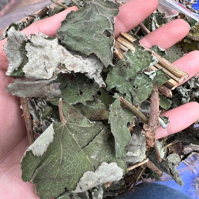 Product Introduction of 500g Trà lá mâm xôi khô Tea Nước Trà Chè 0