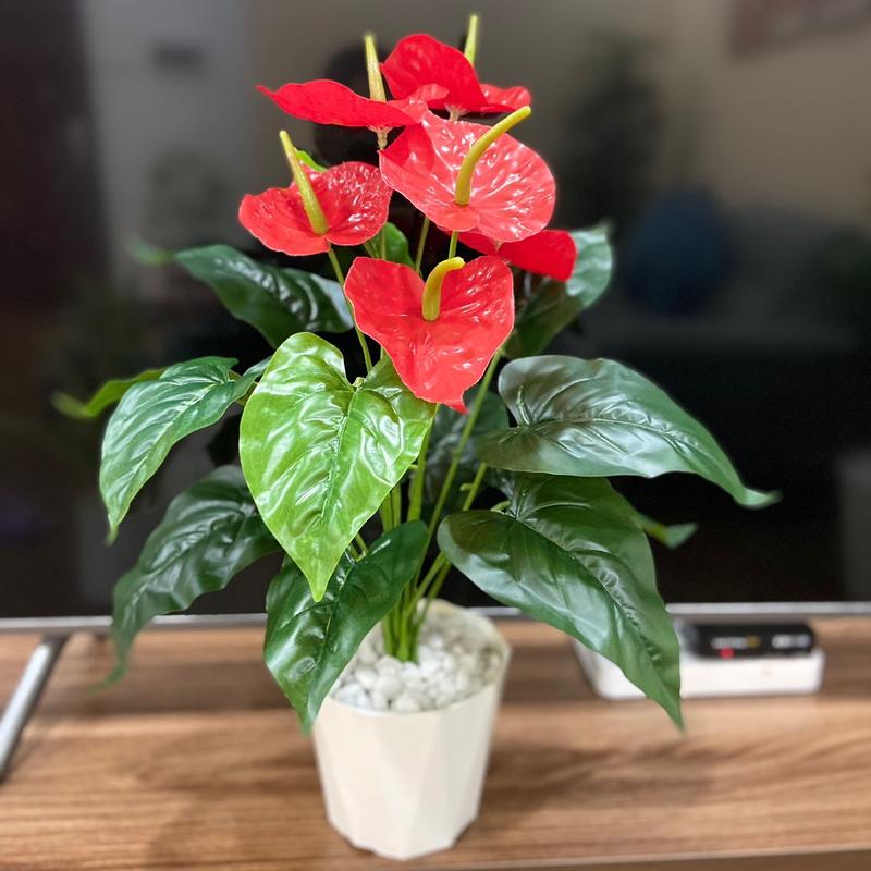 Cây hồng môn yến 50cm - cây giả trang trí Decor Decor Phòng