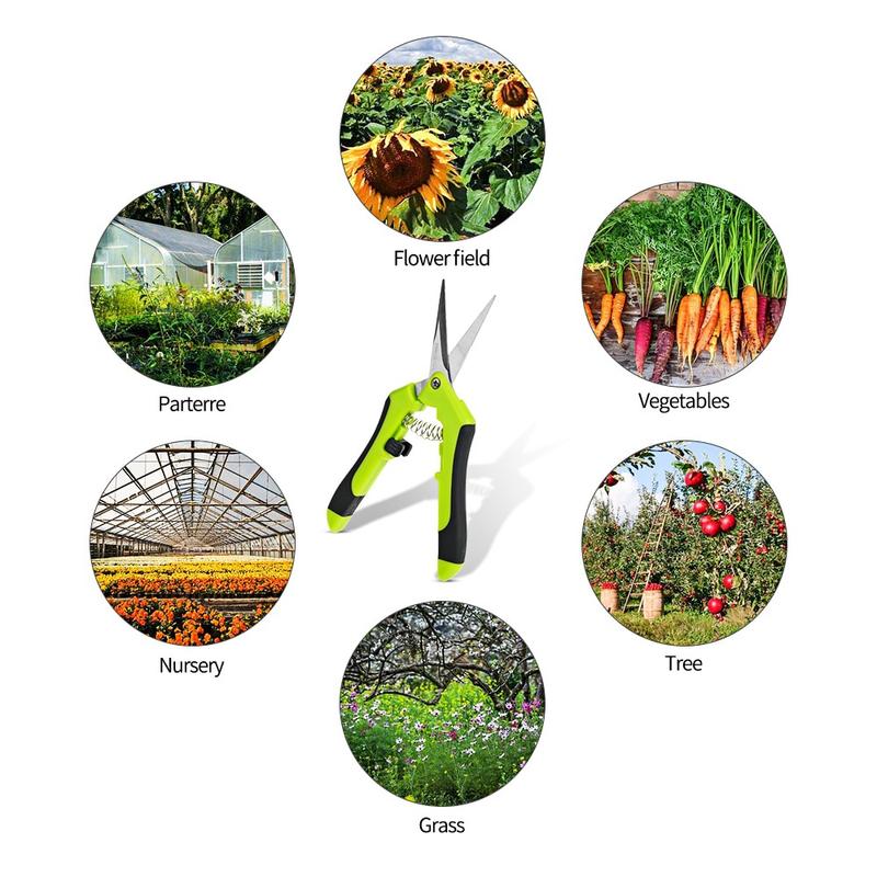 Product Introduction of Garden Pruning Shears Stainless Steel Pruning Tools Hand Pruner Cutter Grape Fruit Picking Weed Household Potted Branches Pruner 18